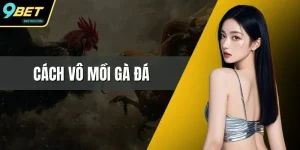 Cách Vô Mồi Gà Đá - Hướng Dẫn Chi Tiết Nhất Từ 9BET