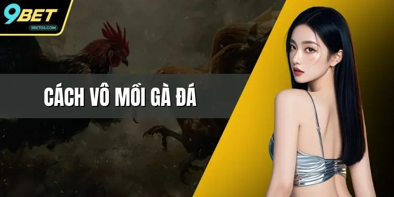 Cách Vô Mồi Gà Đá - Hướng Dẫn Chi Tiết Nhất Từ 9BET