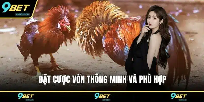 Đặt cược vốn thông minh và phù hợp