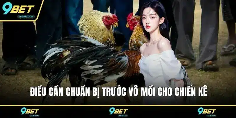 Điều cần chuẩn bị trước vô mồi cho chiến kê