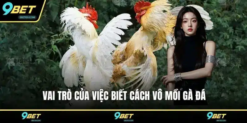 Vai trò của việc biết cách vô mồi gà đá