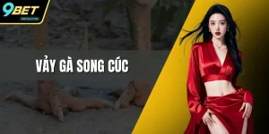 Vảy Gà Song Cúc - Cách Nhận Biết Và Chọn Gà Chuẩn Xác