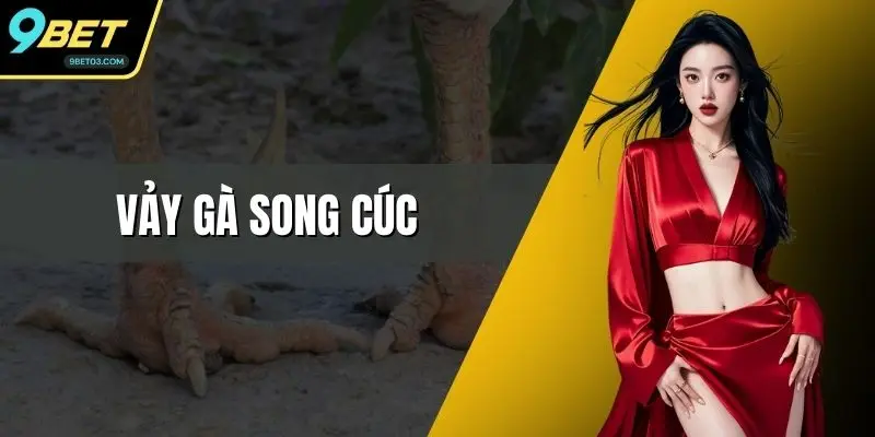 Vảy Gà Song Cúc - Cách Nhận Biết Và Chọn Gà Chuẩn Xác